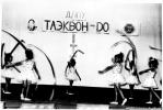 История Тхэквондо (ИТФ,ГТФ,АТФ) в Республике Башкортостан (начиная с 1992 года .)